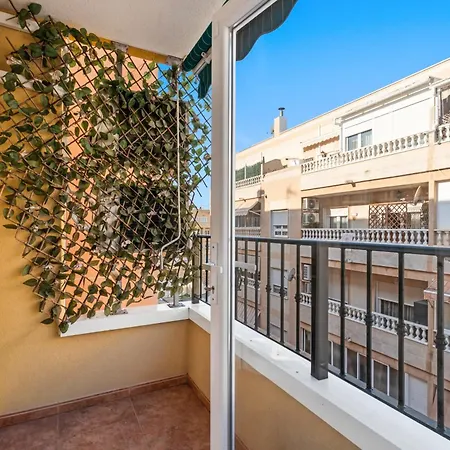 Zoa * Torrevieja